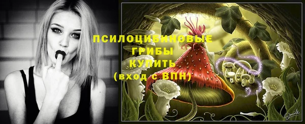 марихуана Белокуриха